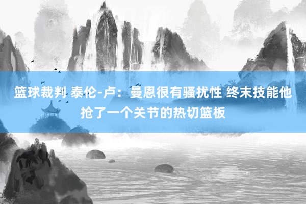 篮球裁判 泰伦-卢：曼恩很有骚扰性 终末技能他抢了一个关节的热切篮板