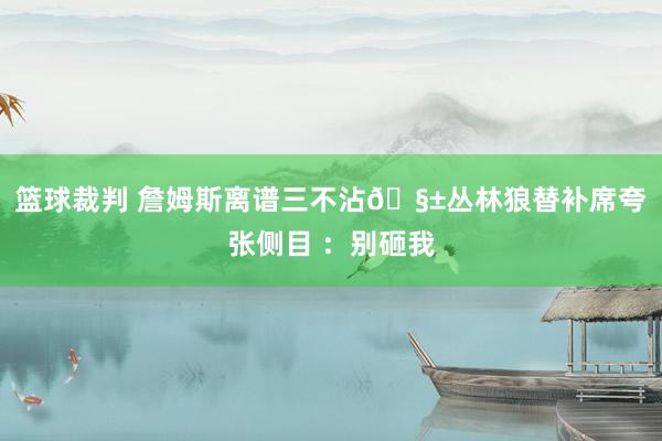 篮球裁判 詹姆斯离谱三不沾🧱丛林狼替补席夸张侧目 ：别砸我