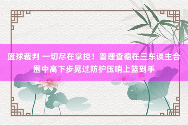 篮球裁判 一切尽在掌控！普理查德在三东谈主合围中高下步晃过防护压哨上篮到手